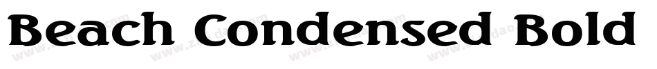 Beach Condensed Bold Italic字体转换
